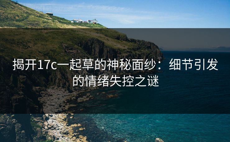 揭开<strong>17C</strong>一起草的神秘面纱：细节引发的情绪失控之谜