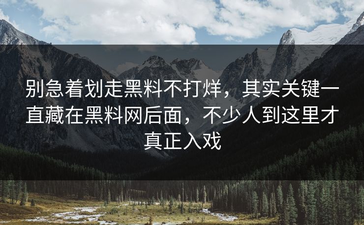 别急着划走黑料不打烊，其实关键一直藏在黑料网后面，不少人到这里才真正入戏