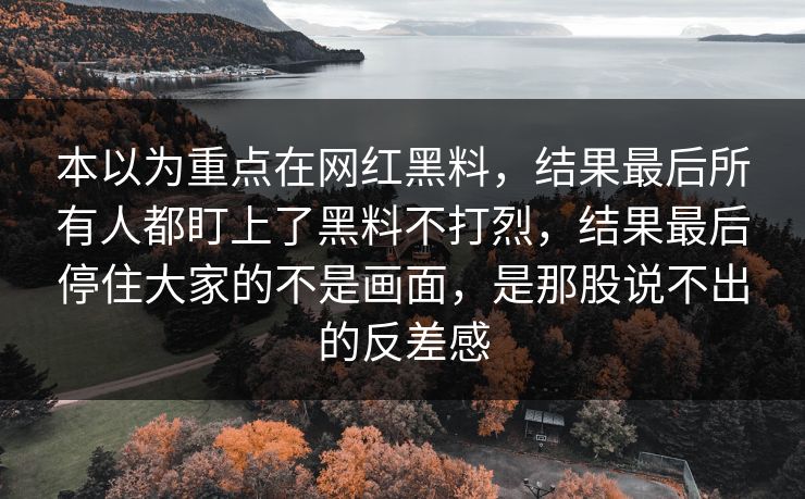 本以为重点在网红黑料，结果最后所有人都盯上了黑料不打烈，结果最后停住大家的不是画面，是那股说不出的反差感