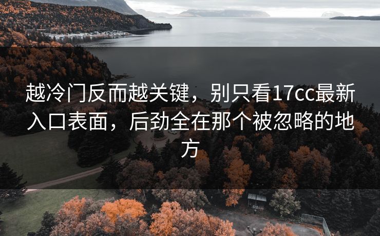 越冷门反而越关键，别只看<strong>17C</strong>c最新入口表面，后劲全在那个被忽略的地方