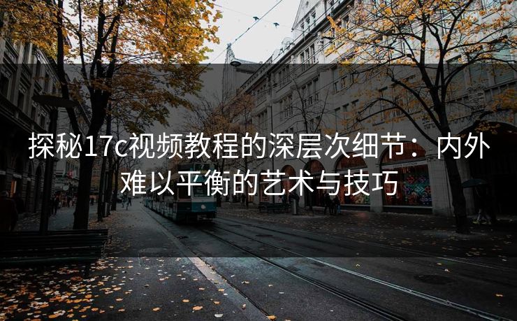 探秘<strong>17C</strong>视频教程的深层次细节：内外难以平衡的艺术与技巧